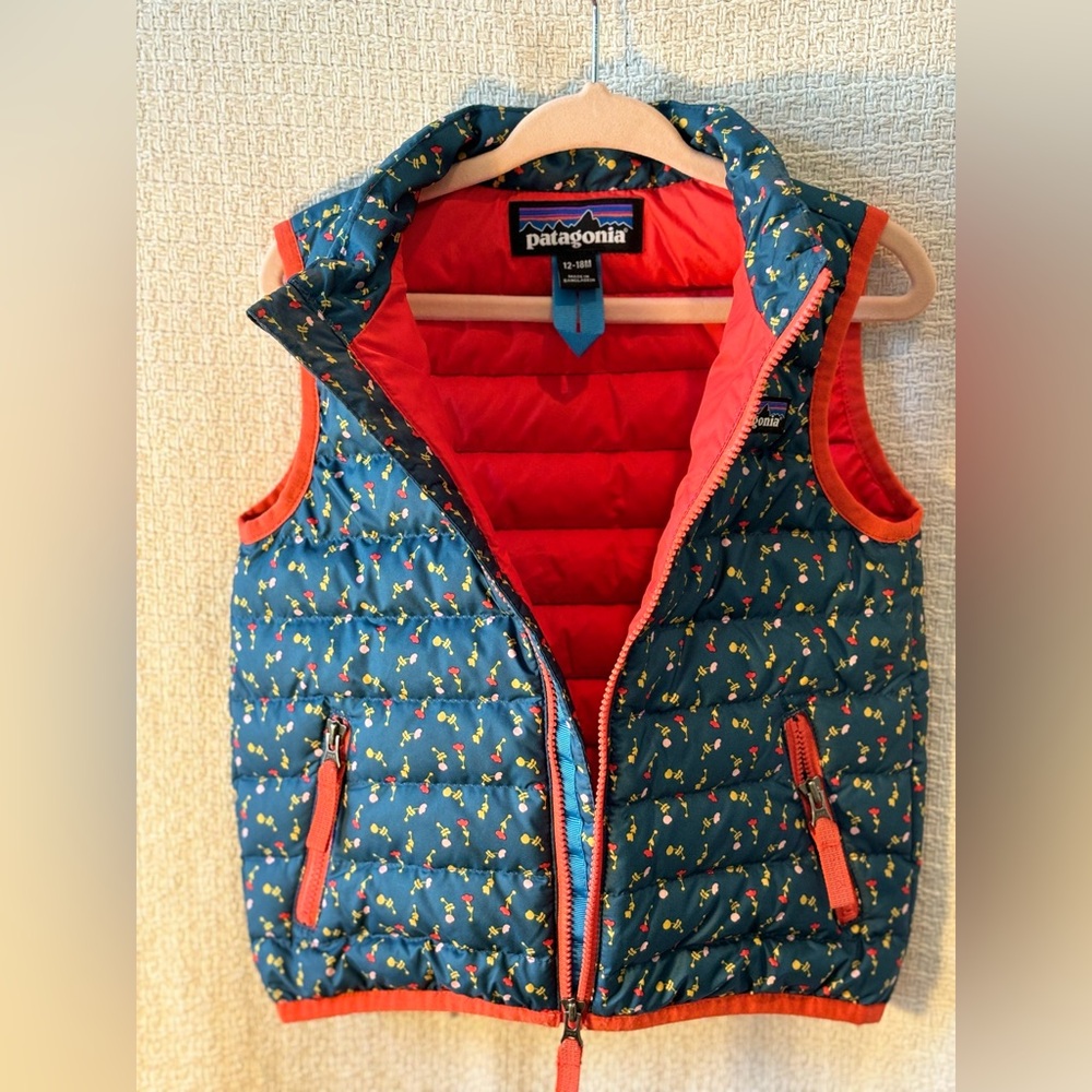 Perfect condition Patagonia puffer vest. Super cute size 12-18 months